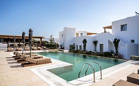 Mykonos Cactus